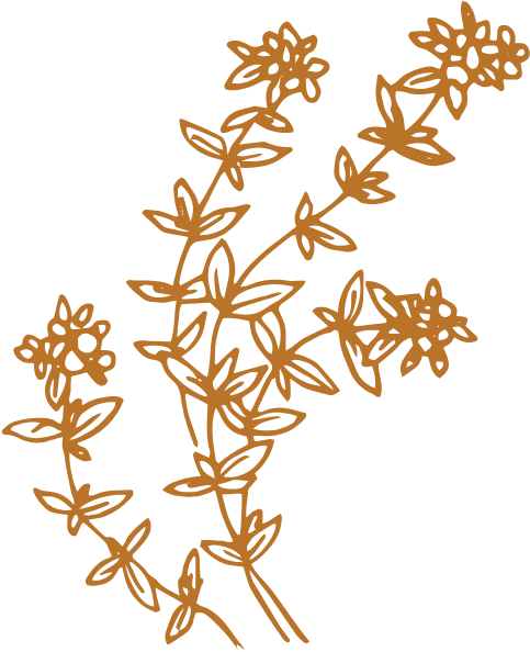 Sisterfox Flowers Orange@2x (770x739), Png Download