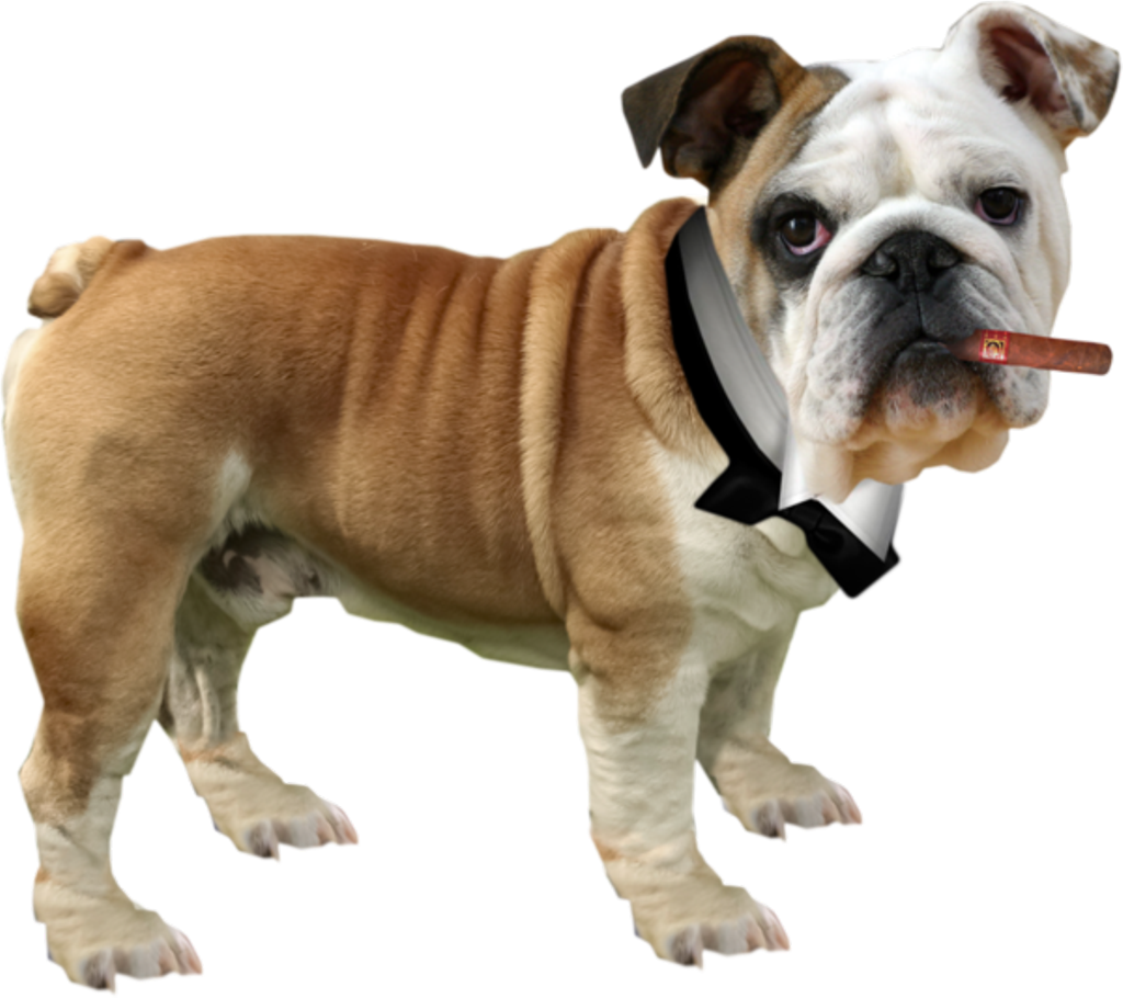 Nature Sticker - Olde English Bulldogge (1024x910), Png Download