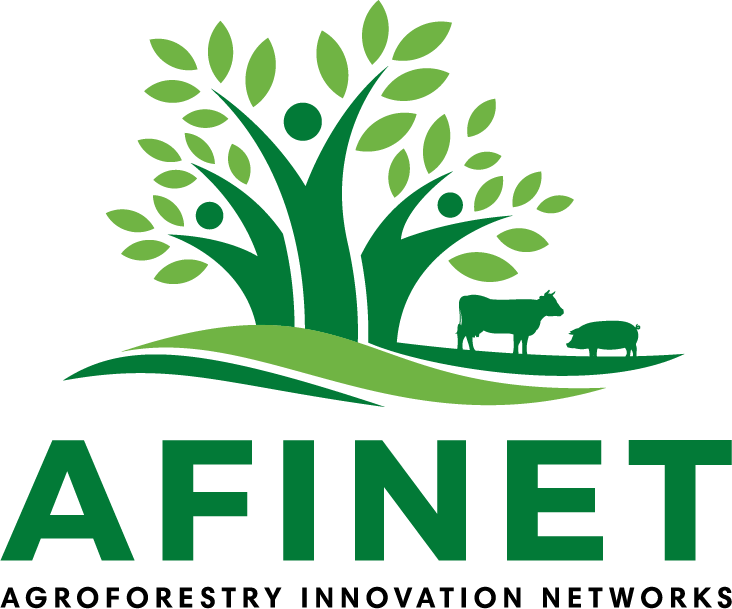 Afinet Logo - Logo Afinet (732x609), Png Download