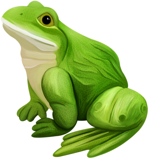 Grenouilles Frog Tube Pinterest Grenouillesfrogtube - Grenouille Png (600x656), Png Download