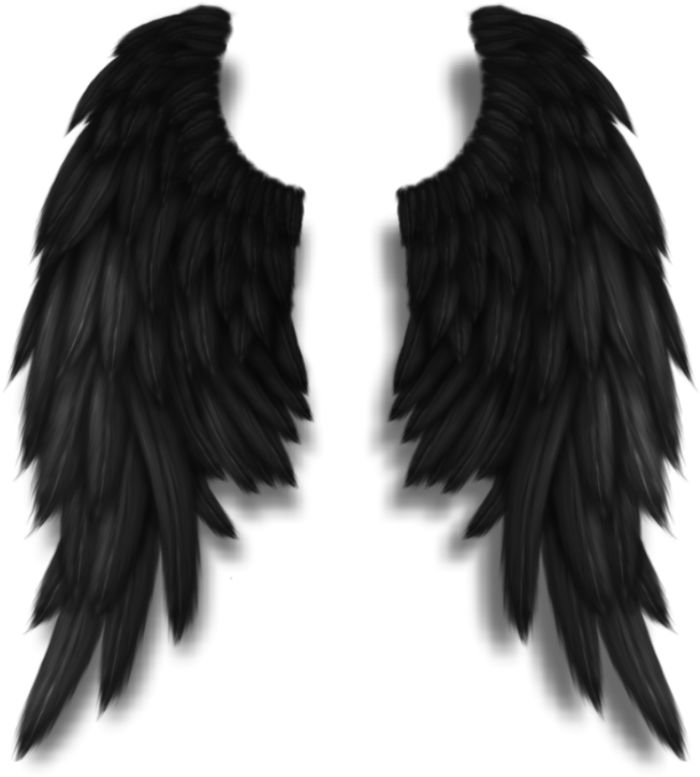 Darkangel Angelwings Angels Angel Wings Feathers Fly - Black Angel Wings Png (712x800), Png Download