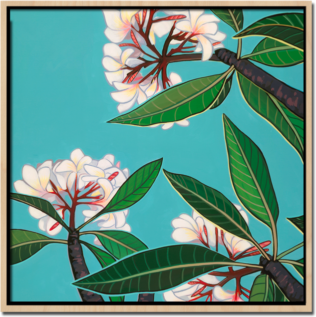 Below The Plumerias - Frangipani (678x690), Png Download