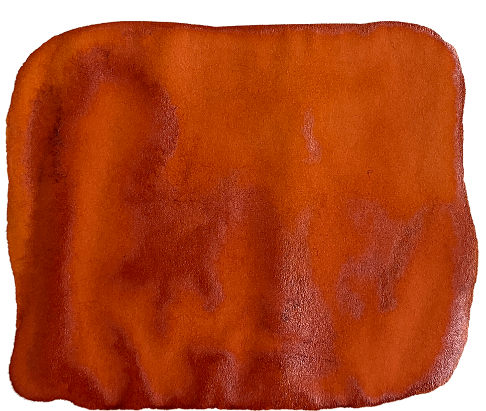 Bungubox Hamanako Fresh Mandarin Orange - Art (1024x1024), Png Download