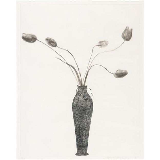 David Hockney - Tulips - Still Life Photography (1366x638), Png Download