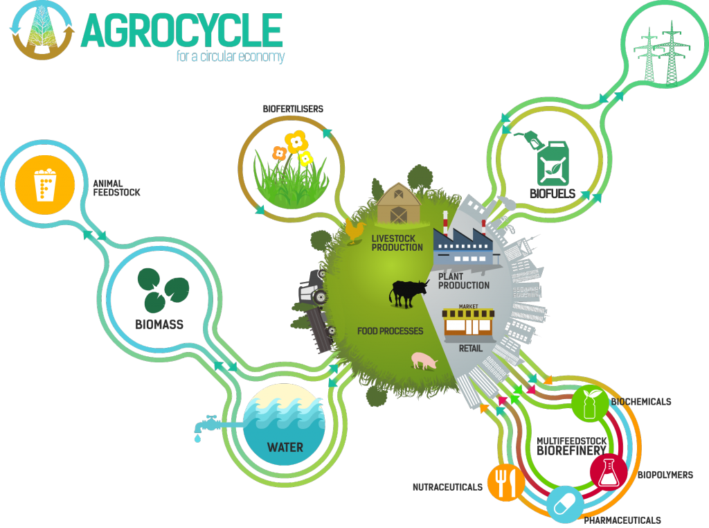 Agrocycle - Circular Economy Food Waste (1024x762), Png Download