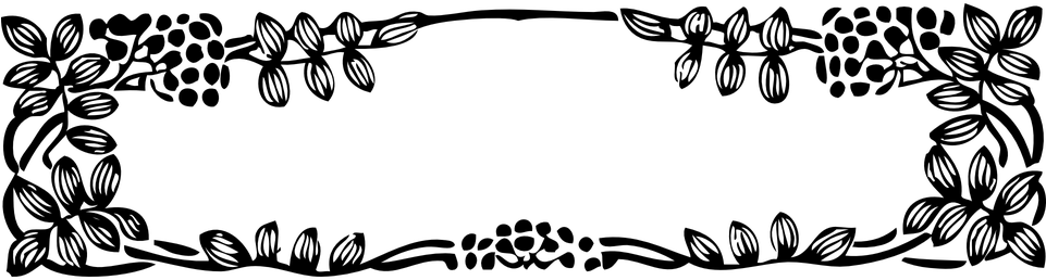 Vine Border Png (960x480), Png Download