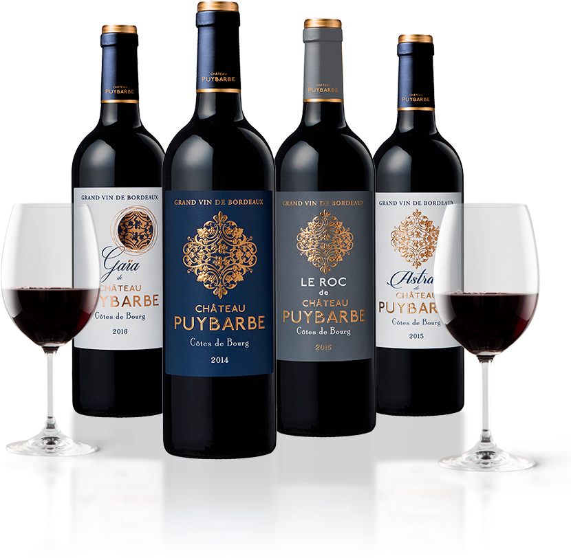 Red Wine (854x850), Png Download