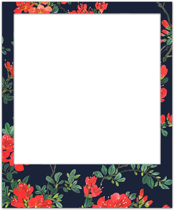 Pack De Polaroids - Frame Floral Png (800x800), Png Download