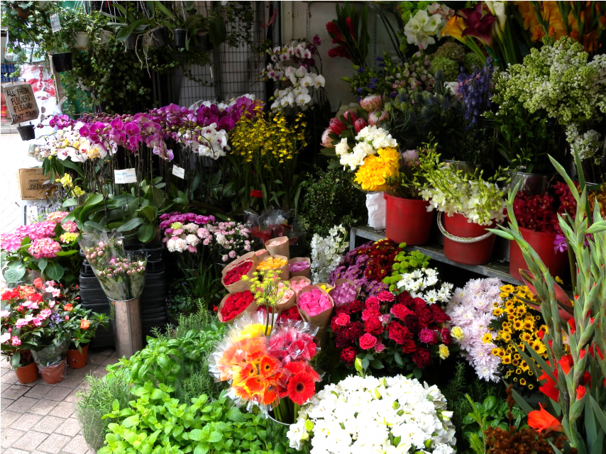 ¿cuánto Cuestan Las Flores Para El Día De La Primavera - Flores Por La Primavera (1140x640), Png Download