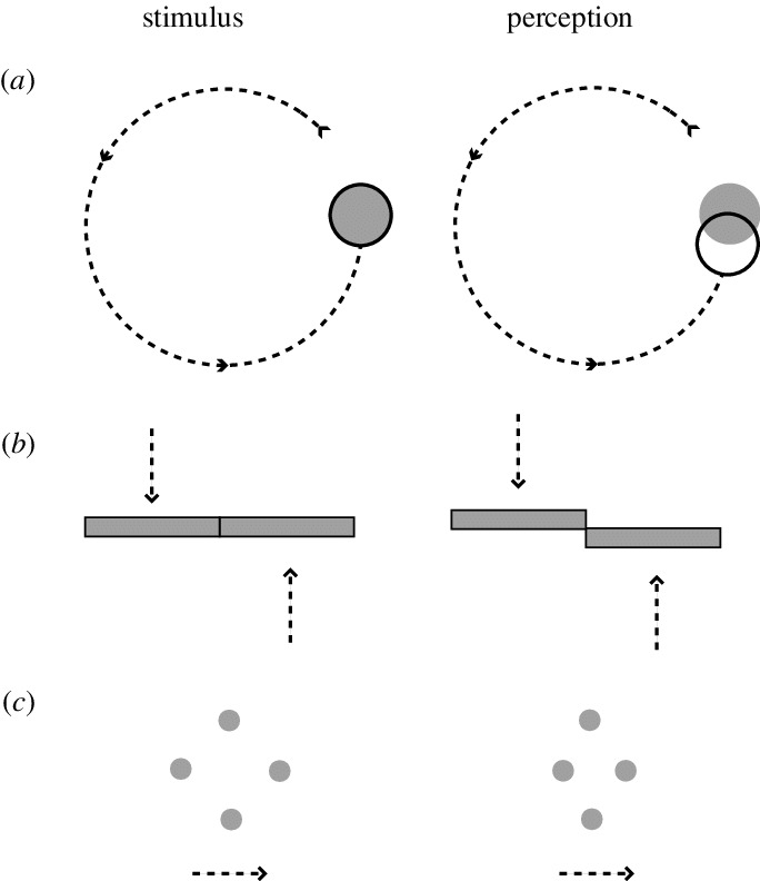 Download Schematic Diagram Of The Three Experiments - Diagram - HD ...