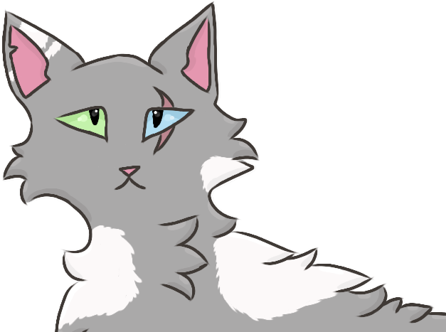Untitled251 - Cat Yawns (768x566), Png Download