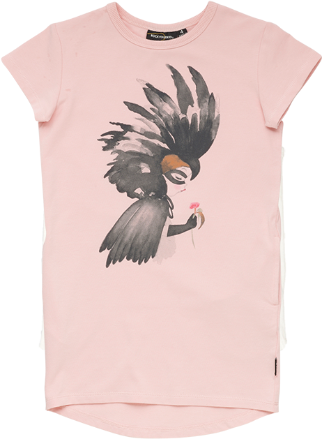 Hornbill (745x745), Png Download