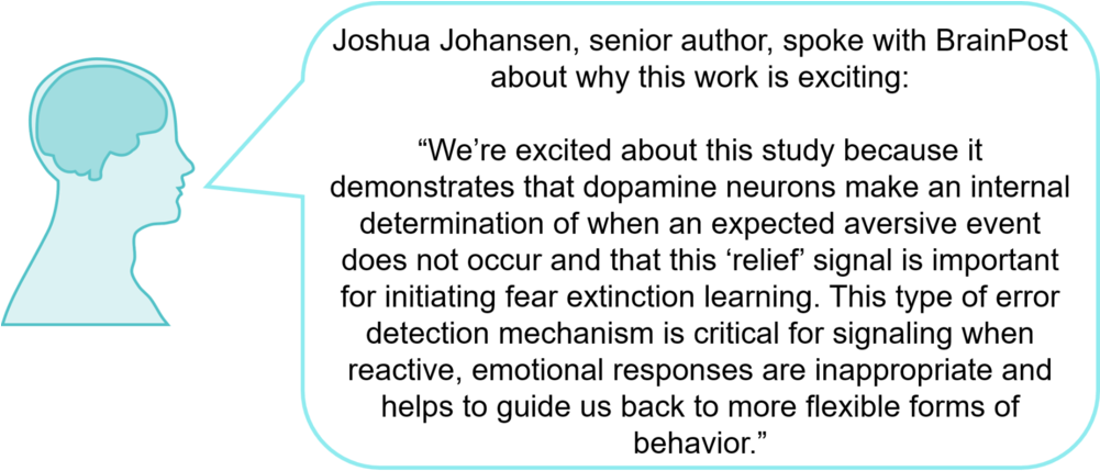 Vtaquote1800 - Insuficiencia Renal Cronica (1000x493), Png Download