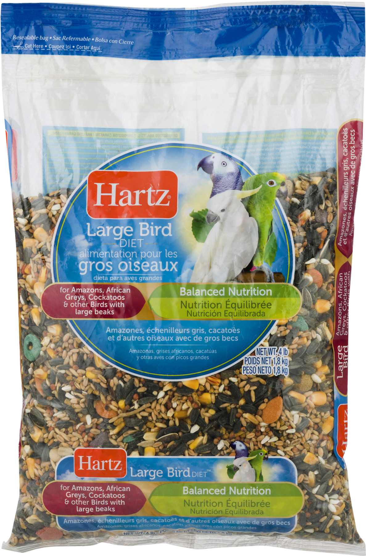 African Grey (1800x1800), Png Download