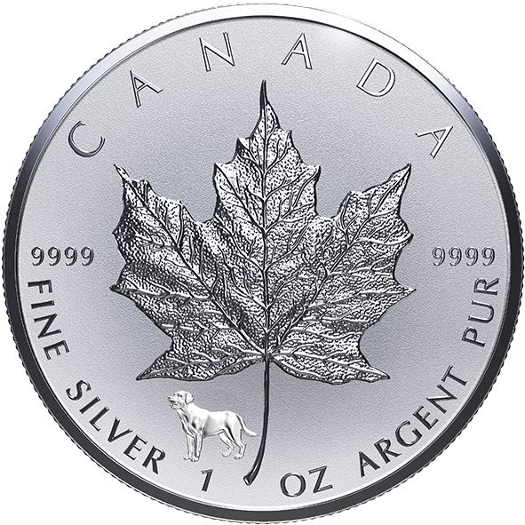1 Oz Silver Coin (600x600), Png Download