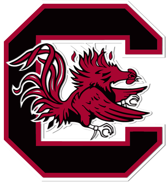 University Of South Carolina Wallpaper Wallpapersafari - South Carolina Gamecocks (576x633), Png Download