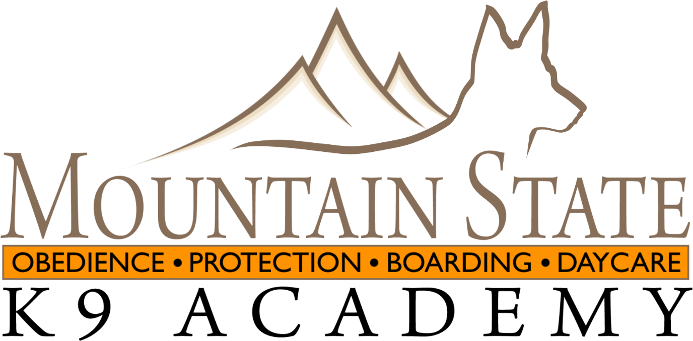 Buy Nothing Day 2010 (1396x697), Png Download