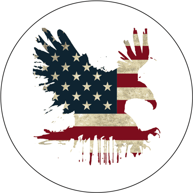 American Eagle - T Shirt American Eagle Png (658x658), Png Download