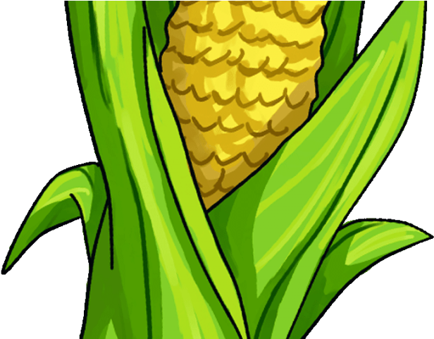 Corn Clipart Husking - Corn Animated (640x480), Png Download