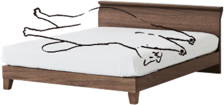 Cat Outline Bed - Bed Frame (750x539), Png Download