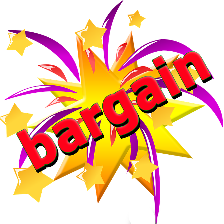 Bargain Prices On Teachers In Tennessee - Doesn T Love A Bargain (720x720), Png Download