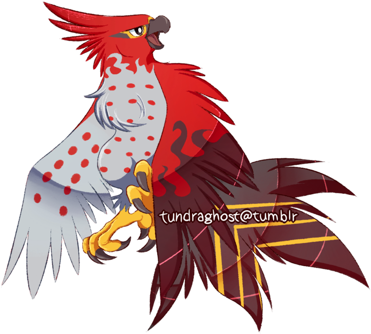 Another Old One From 2016 This Time It's A Talonflame - Parrot (1024x768), Png Download