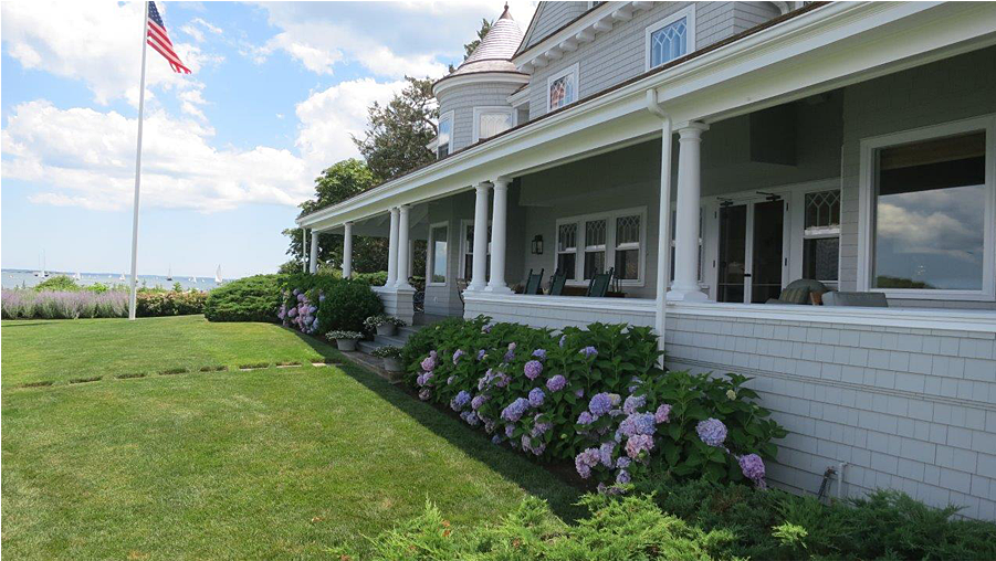 Portfolio - Impatiens (900x600), Png Download