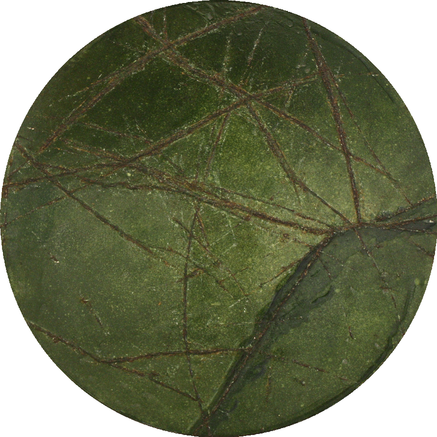 Previously - Plant Pathology (887x887), Png Download