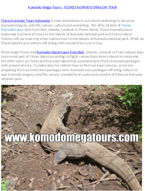 Pdf - Alligator Lizard (600x776), Png Download