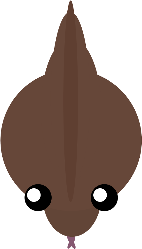 Komodo Dragon - Cartoon (1000x1000), Png Download