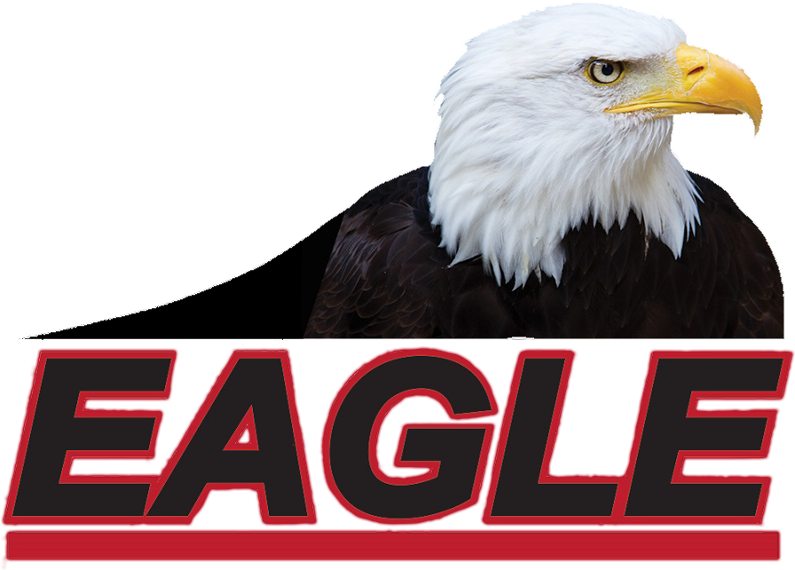Eagle Auto Body - Bald Eagle (896x642), Png Download