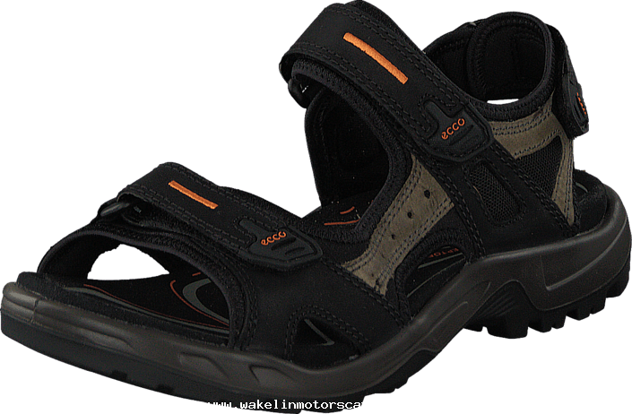 Ecco Offroad M Black/ Mole/ Black 55170-01 Mens Leather - Sandal (705x462), Png Download