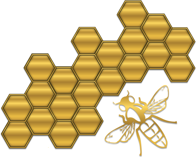 Graphic Design (800x589), Png Download