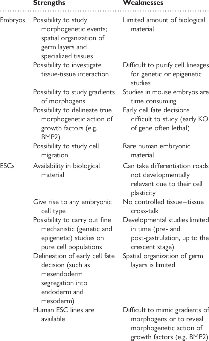 Comparative Strengths And Weaknesses Of Embryos And - Strengths And Weaknesses (699x1136), Png Download