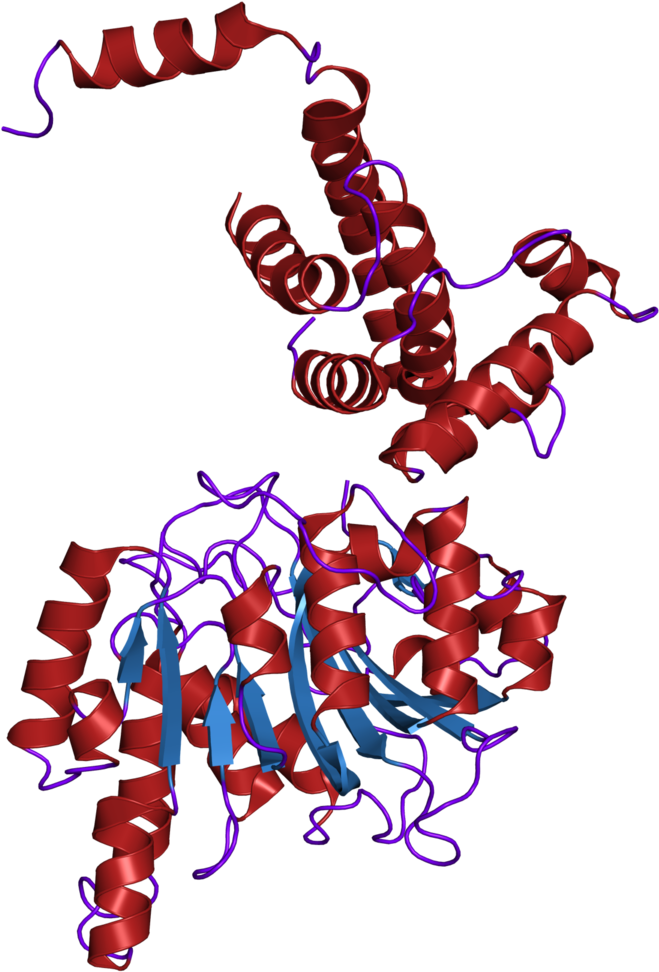 Illustration (1200x1200), Png Download