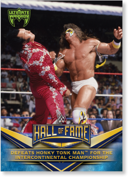 Gallery - Wwe Hall Of Fame (700x700), Png Download