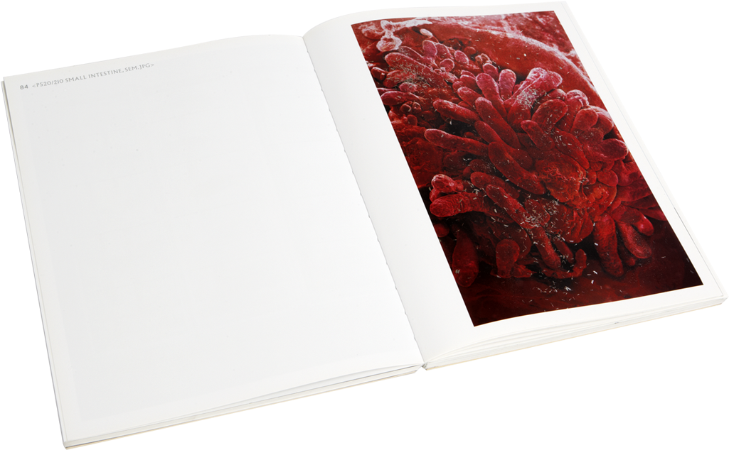 Damien Hirst Beyond Belief Signed Catalogue - Sketch Pad (1024x1024), Png Download