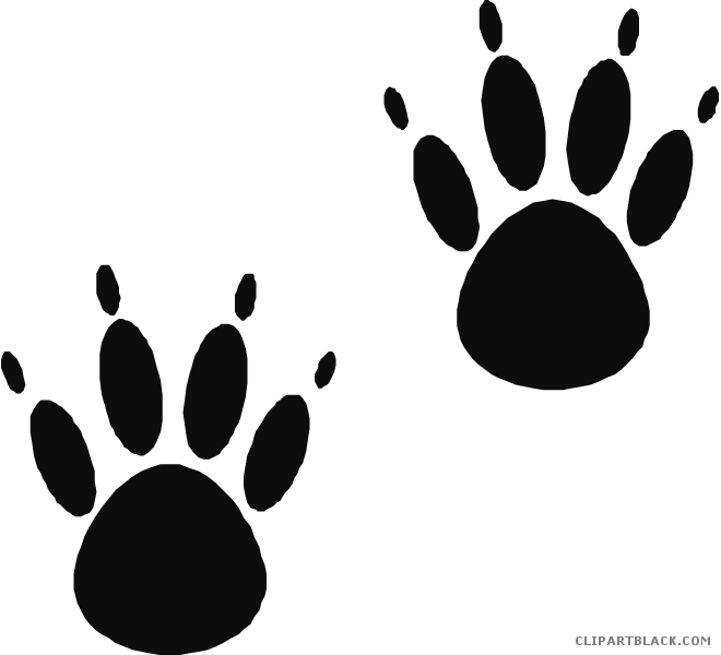 Bear Paw Print Animal Free Black White Clipart Images - Paw Prints (660x600), Png Download