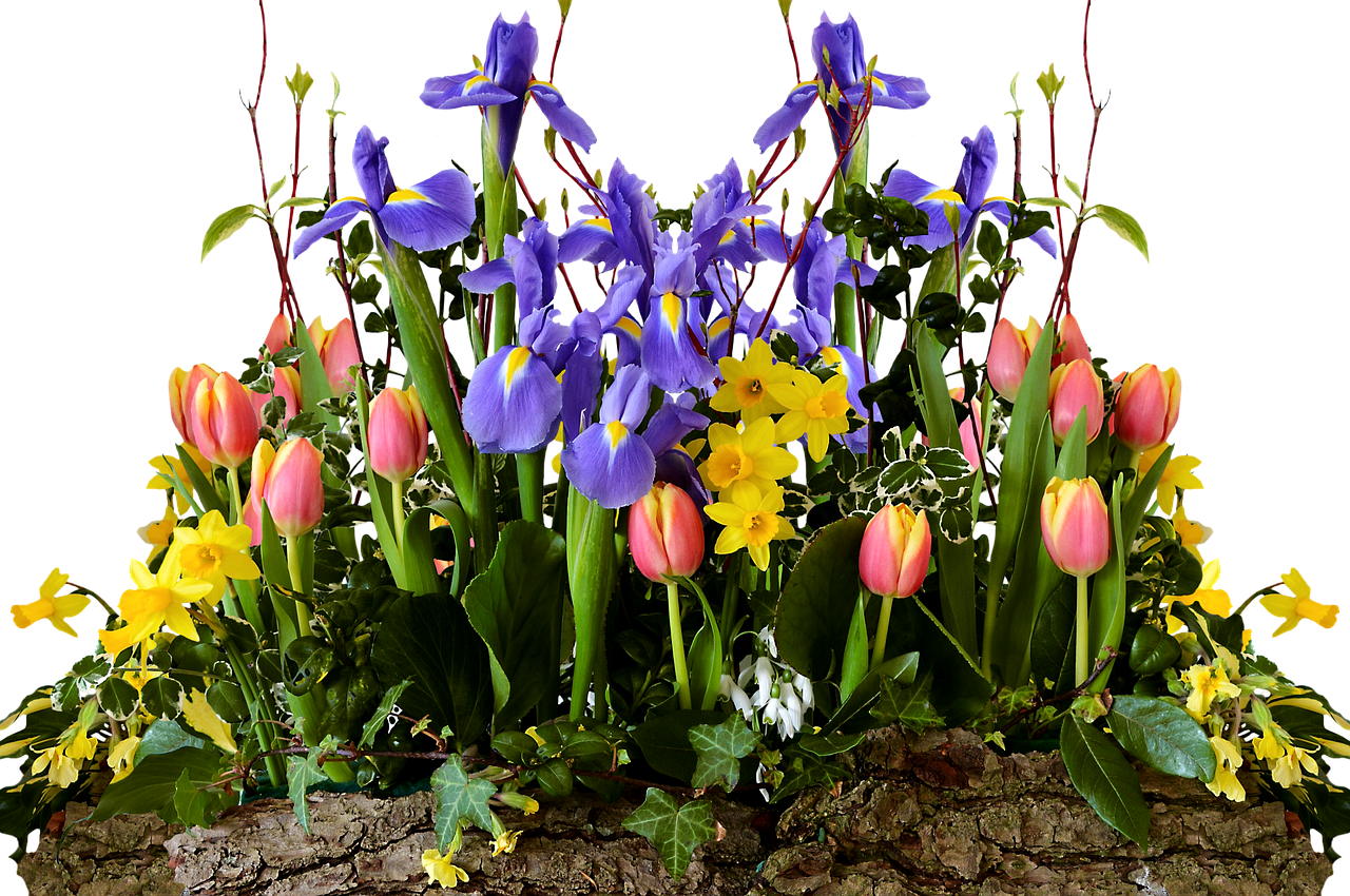 Png Transparent Spring Flowers (1280x850), Png Download