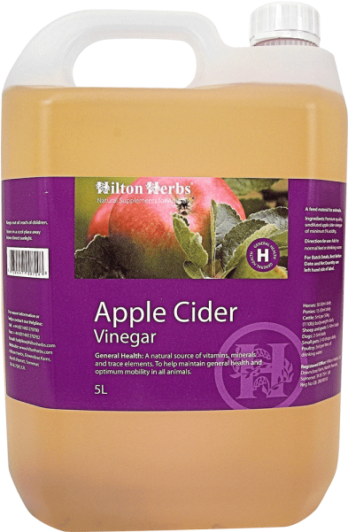 Description - Horse Grooming (600x600), Png Download