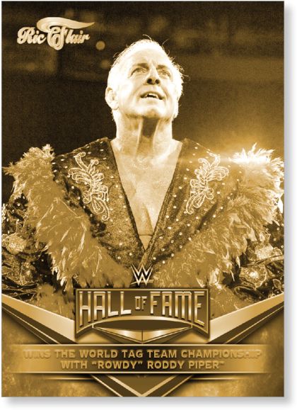 2018 Topps Wwe Heritage Ric Flair Wins The World Tag - Wwe Hall Of Fame (700x700), Png Download