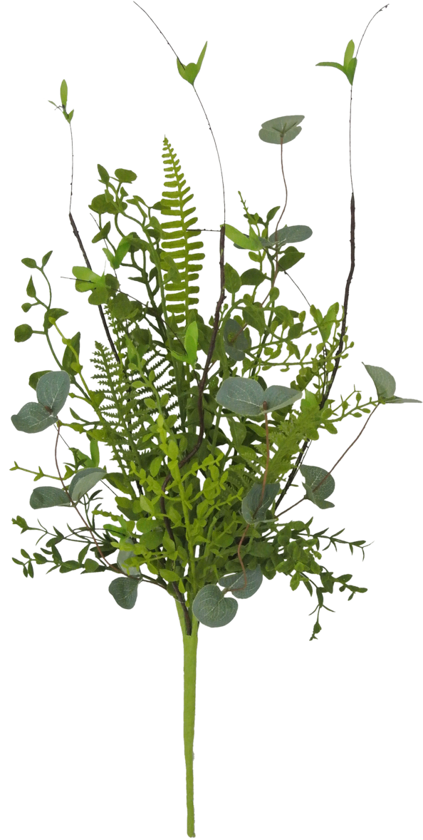 Teasel (600x1193), Png Download