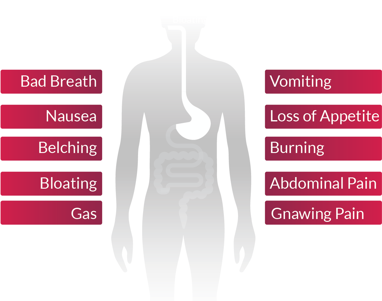 Download HD Symptoms Of H H Pylori Symptoms Transparent PNG Image