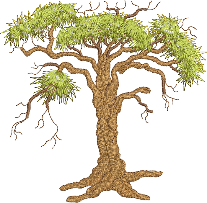 04 - Oak Tree (701x688), Png Download