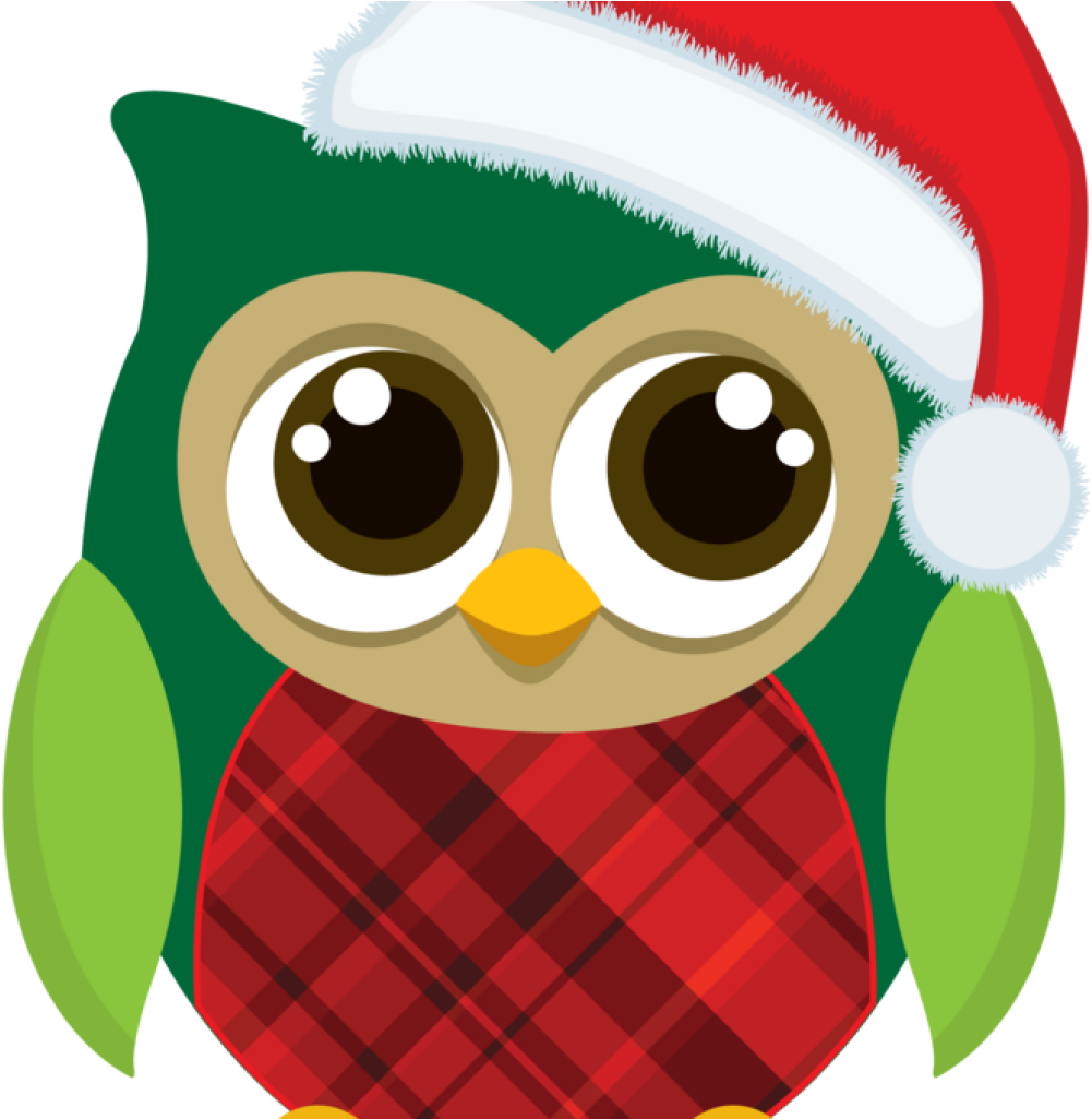 Christmas Owl Clipart Owls Minus Clip Pinterest Plant - Buhos Navideños De Foami (1024x1024), Png Download