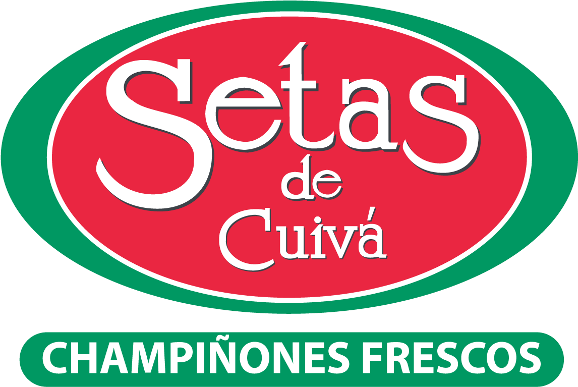 Setas De Cuivá - Setas De Cuiva (1335x941), Png Download