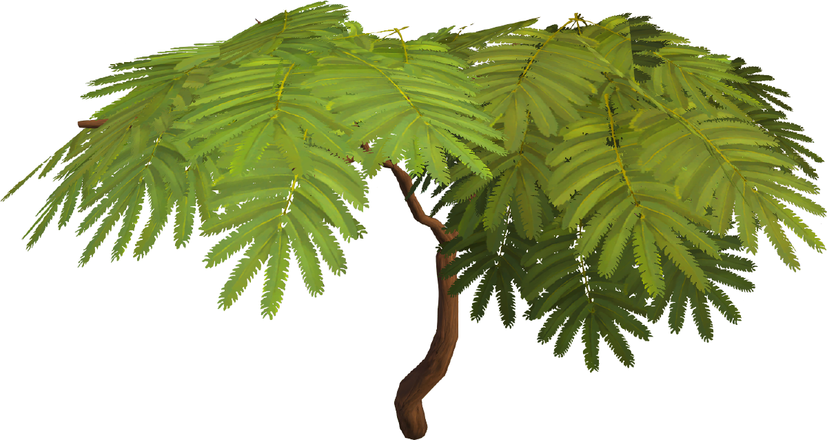 Silk Tree (1200x638), Png Download