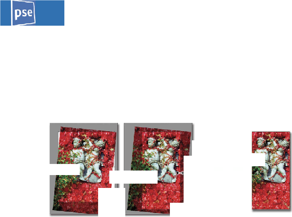 Adobe Photoshop Elements 11 For Photographers - Floral Design (1022x786), Png Download