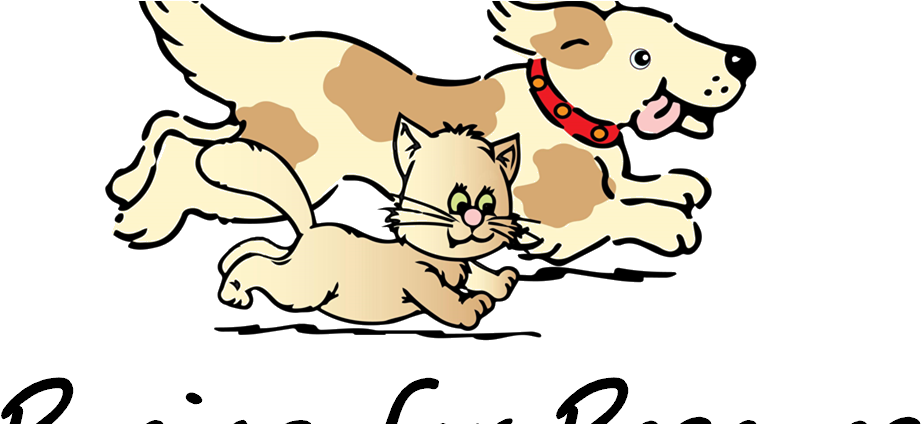 “racing For Rescues” Registration Is Now Open - Second Chance Pet Adoptions (1033x423), Png Download