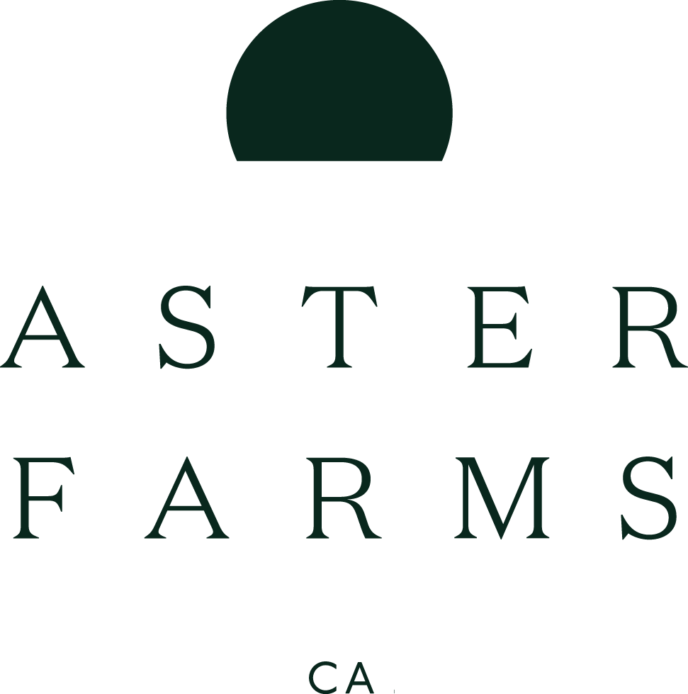 Logo-green Format=1500w (971x979), Png Download